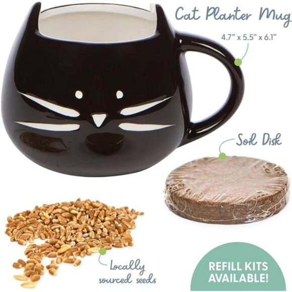 The Cat Ladies Organic Cat Grass for Indoor Cats - Growing Kit with Organic Seed - Picture 2 of 7